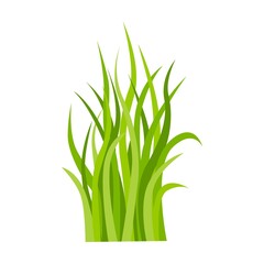 Grass icon. Leaf borders, nature background vector illustration. Green land concept for template design