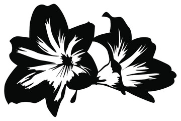 flower line art vector