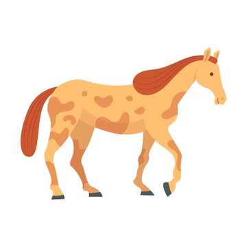 Spotted horse standing. Breed of horse flat vector illustration. Colorful domestic animals and running isolated on white