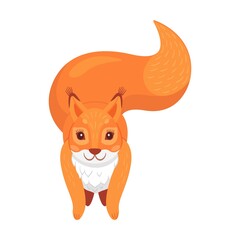 Fluffy cartoon animal with furry tail holding nut, jumping, moving. Cute red squirrel. Flat vector illustrations for wildlife, mammals, forest fauna
