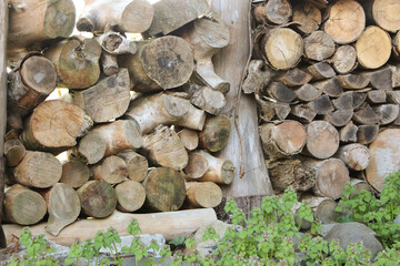 積み上げられた薪用の木材