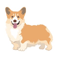 Cartoon dog Corgi flat icon. Happy pet vector illustration. Basenji, Dachshund, malamute, Samoyed. Mammals and animals concept