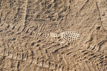 A layer of dry road dust with traces of car tires and shoe soles. Close up.