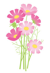 コスモスの花束