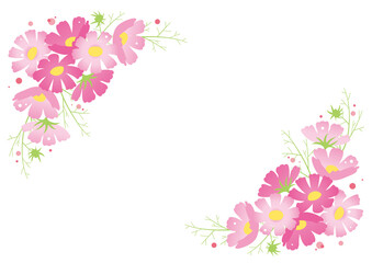 コスモスのフレーム © tedybee