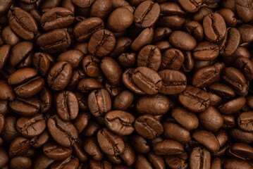 Dired coffee seeds texture and surface.top view.