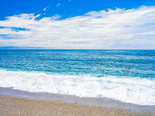 Beautiful view of blue sea and leaves blown by wind in summer, Katsurahama Beach in Kochi Prefecture in Japan