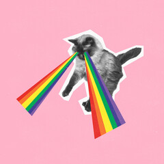 Contemporary art collage. Conceptual image. Cat with rainbow light from eyes isolated pink background. LGBTQIA support
