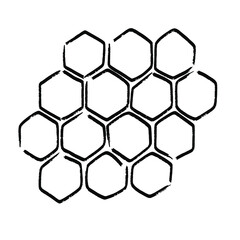 propolis honeycomb sketch. hand drawn honey comb. Black and white image bee wax. Bee honey comb and propolis doodle vector.