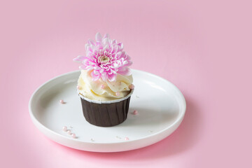 Muffin on a white plate, decoraited of pink flower, pink background. Flower cup cake