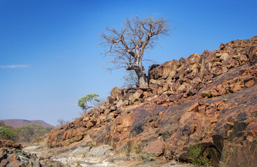 Fototapeta na wymiar Rugged granite rocks with red colors and tree, Damaraland, Kunene, Namibia.