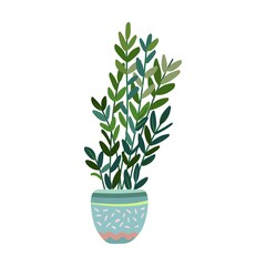 Plant in colorful pot, succulent, home garden, indoor trees. Vector illustration for interior, botany, house decoration