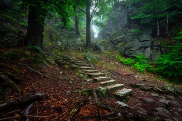 Fototapeta A foggy landscape of stairs from hellish Valley to Chojnik Castle in the Karkonosze Mountains. Poland obraz
