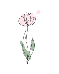 pink tulip, simple lines, hand drawn, minimalism