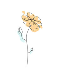 yellow minimalist flower, simple line meadow flowers