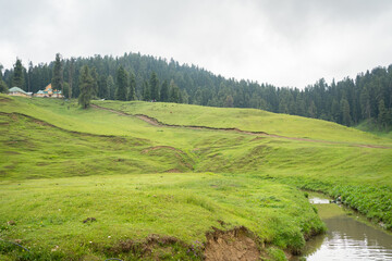 Fototapeta na wymiar Landscape with green grass and blue sky in mountain of Gulmarg a hill station in summer time, a popular skiing destination of the Indian state of Jammu & Kashmir.