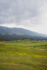 Fototapeta premium This photo depicts the peace and heavenly beauty that prevails in the valley of Kashmir which has been engulfed by the terrorism, Gulmarg, Kashmir, India.