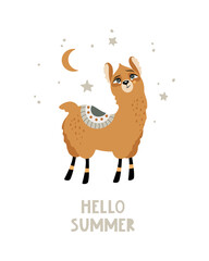 A summer postcard with a cute Llama in the background. Handwritten greeting "Hello Summer". Vector illustration.