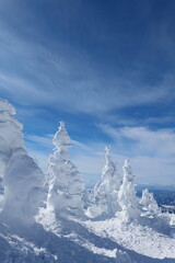 蔵王の樹氷原。山形、日本。１月下旬。