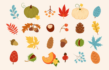 Autumn collection with leaves, pumpkins, berries, cones, nuts, acorns. For design, print, postcards, flyers and print.