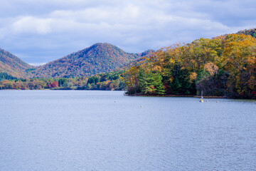 千丈寺湖（兵庫県三田市）の紅葉
