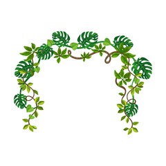 Jungle frame. Green frame shaped lianas, tropical plant branches with leaves, space for text or sign with borders. Isolated vector illustration for forest
