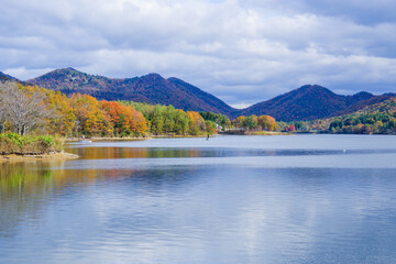 千丈寺湖（兵庫県三田市）の紅葉