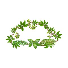 Obraz premium Jungle frame shaped lianas, tropical plant branches with leaves, space for text or sign with borders. Isolated vector illustration for forest