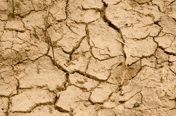 dry soil texture