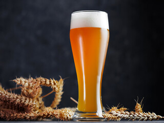 glass of wheat beer. Ears of wheat, dark background.