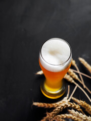 glass of wheat beer. Ears of wheat, dark background.