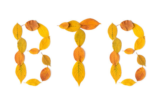 BTB shaped with autumn leaves isolated on white background. BTB stands for Back To Business