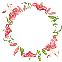 Lilies. Watercolor botanical illustration. Flower frame