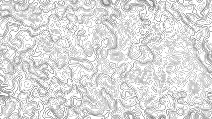 White wave paper curved reliefs abstract background, Abstract topographic contours map background. Geographic mountain relief. Abstract lines background. Contour maps. Business concept.