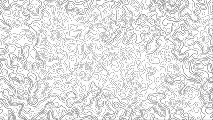 White wave paper curved reliefs abstract background, Abstract topographic contours map background. Geographic mountain relief. Abstract lines background. Contour maps. Business concept.