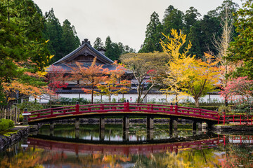 高野山（和歌山県高野町）の紅葉