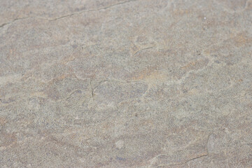 Garden center. Gardening, shop. Landscape design. Stones.