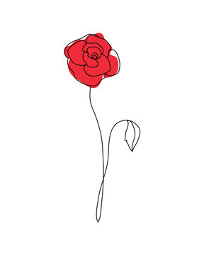 red rose line art