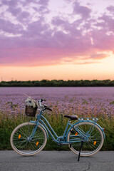 Romantic bicycle with a basket in the field. Eco-friendly transport. Rejection of the car. Purple meadow and sunset. An atmosphere of happiness and carelessness. Walking on a warm summer evening
