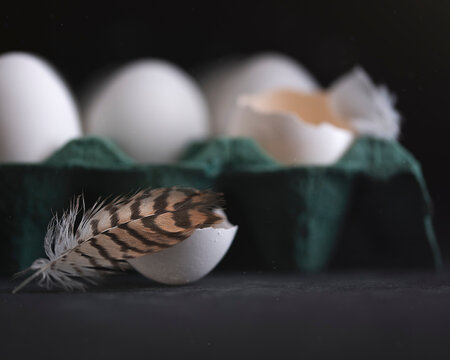 maple de huevo y pluma