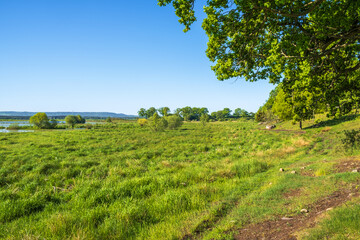 Wet meadow by a lake with a footpath in the nature