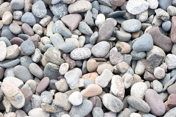 Garden center. Gardening, shop. Landscape design. Stones.