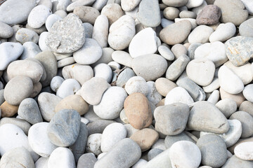 Garden center. Gardening, shop. Landscape design. Stones.