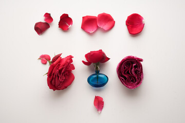 Composition in red romantic color. A small blue vase with a flower, a red rose lined with a decorative velvet ribbon next to a live flower on a light background