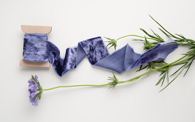 Coil purple velvet decorative ribbon on a white background with a fresh flower of scabious. Elements of festive decor