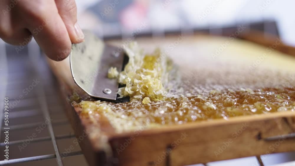 Aufkleber close up view of hand holding uncapping fork scraping and removing gently beeswax and natural fresh 