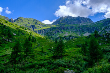 Fototapeta na wymiar Panorama Alp de Trescolmen, Mesocco, Svizzera
