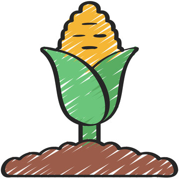 Corn Plant Icon