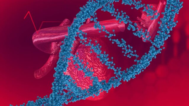 Animation of dna strand over heart and cardiograf on red background