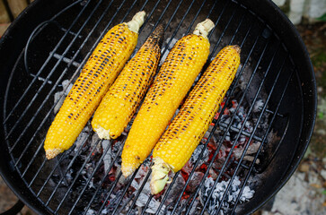 Corn on the cob roasting on the grill